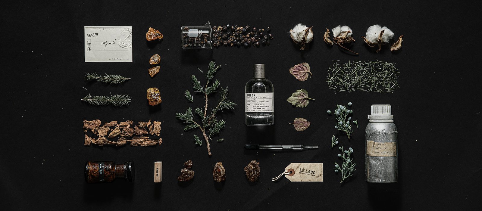 Le Labo Baie 19 eau de parfum bottle with juniper berries and green leaves